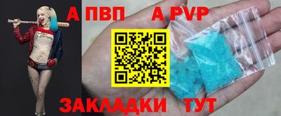 гашик Новодвинск