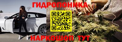 молекула духа Обь