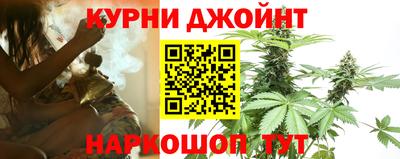 гашик Новодвинск