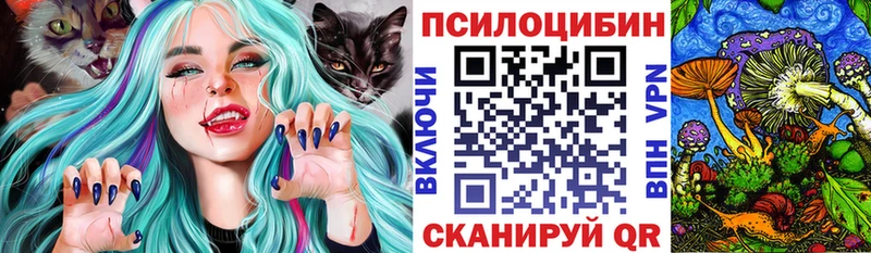 закладка  Южноуральск  Псилоцибиновые грибы Cubensis 
