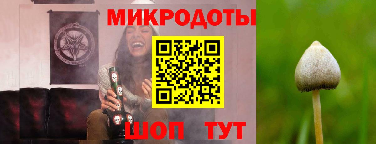 купить закладку  Галлюциногенные грибы Psilocybe  Вход с VPN  Южноуральск 